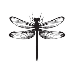 Dragonfly silhouette, Silhouette dragonfly isolated flat design black and white vector illustration, Black vector illustration on white Background