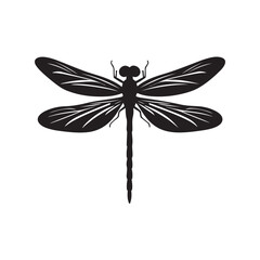 Dragonfly silhouette, Silhouette dragonfly isolated flat design black and white vector illustration, Black vector illustration on white Background