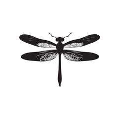 Dragonfly silhouette, Silhouette dragonfly isolated flat design black and white vector illustration, Black vector illustration on white Background