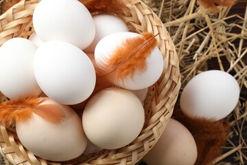 Raw chicken eggs in wicker basket and feathers on straw, top view