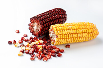 Red and yellow corn cobs with kernels on white background, closeup