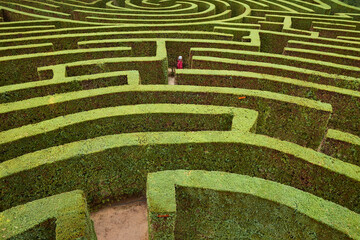 Garden bush labyrinth in Cartagena city. Tentegorra park. Murcia, Spain
