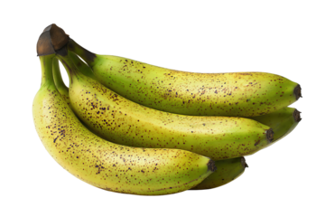 Bananas in a smooth arc showing ripeness stages from fresh green to spotted yellow, isolated on transparent background.
