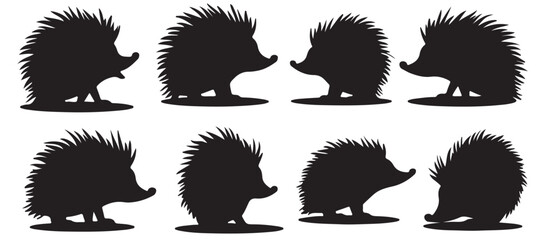 hedgehog silhouette set illustration