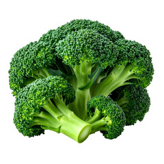 A fresh, vibrant green broccoli head with tightly packed florets against a black background