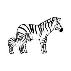 An isolated vector drawing of an adult zebra and its cub, made in a simple black and white style.