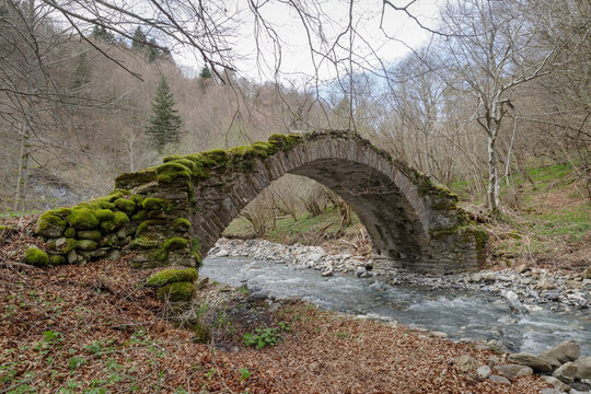 Old stone arch bridge in Ligurian Alps mountains, Mendatica municipality, Imperia province, Italy