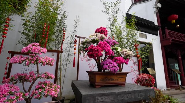 Display of small colorful bonsais and plants in pink tones at Yuyuan Garden, Shanghai, China
