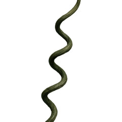 Obraz premium Twisted Dark Green Liana Vine Natural Decor Landscaping