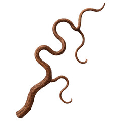 Fototapeta premium Dried Twisted Brown Vine Branch Natural Decor