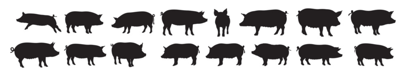 pigs silhouette white background