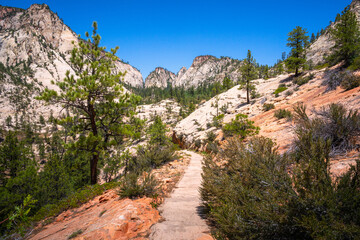 hiking in zion national park in utah, usa