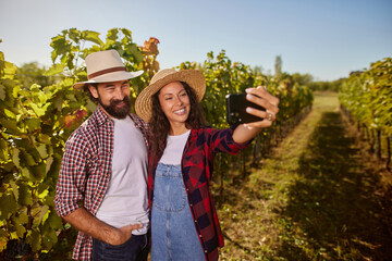 A couple stands among rows of green vines in a vineyard, smiling as they take a selfie. Bright sunshine illuminates the cheerful atmosphere of the family-run farm.