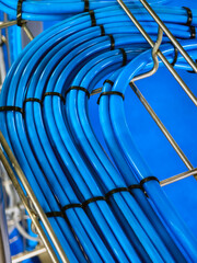 Colorful blue hoses arranged neatly on metal racks in a workshop setting