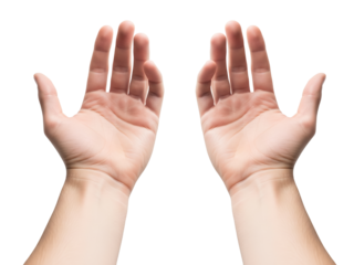 Two Open Hands Palm Upward, as a Sign of Offering or supporting, Helping
