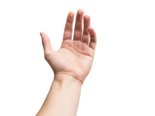 Obraz premium An Open Hand Palm Upward, as a Sign of Offering or Asking for Help