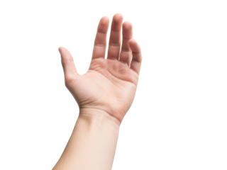 An Open Hand Palm Upward, as a Sign of Offering or Asking for Help