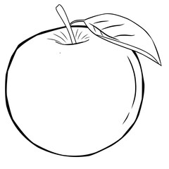  coloring book for kids apple vector. Ready for coloring