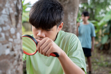 Naklejka premium A young explorer is deeply focused, using a magnifying glass to study the tree bark up close while another student observes the natural world in the background.