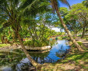 Tropical gardens along the coast of the capital city of Suva, Fiji