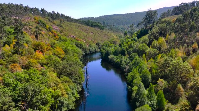 Tropical Forest Mountains With River Lerez Through Campo Lameiro In Galicia, Spain. Aerial Pullback Shot
