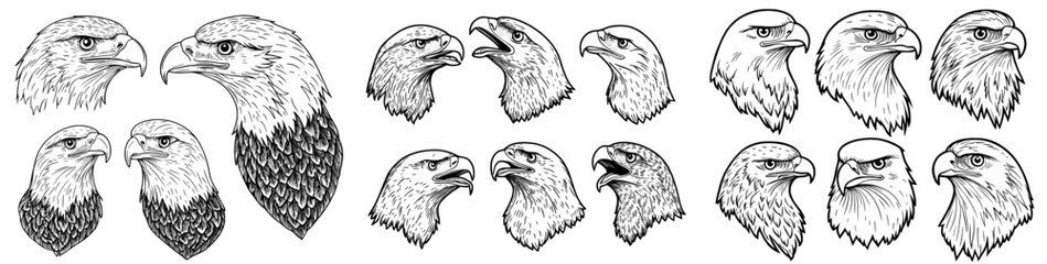 Five eagle head illustrations, created in a modern art style, are presented in black and white