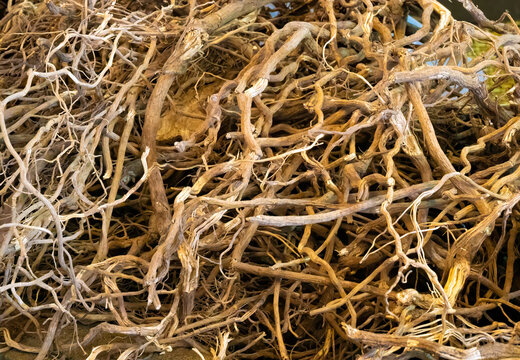 Kava roots. Ground or chewed roots are used to produce a psychoactive beverage consumed in tribal, social and traditional ceremonies. Lautoka central market, Viti Levu Island, Fijji