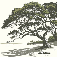 Majestic gnarled ancient tree casting dappled shadows on a sandy shore beside calm water