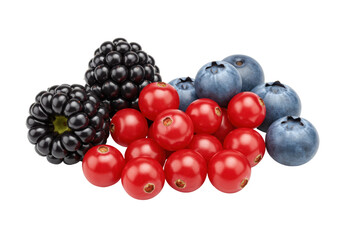 Isolated Assortment of Blackberries, Blueberries, and Cranberries for Culinary Uses