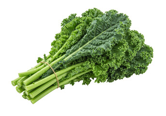 Isolated bunch of fresh green curly kale vegetable, raw healthy salad ingredient nutrition