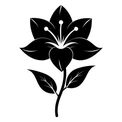 Belladonna Lily vector clean black silhouette design white background