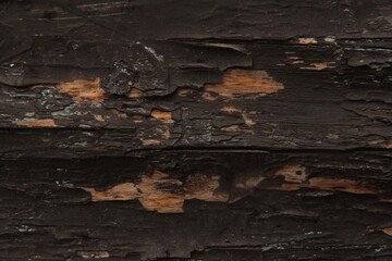 Old wooden texture