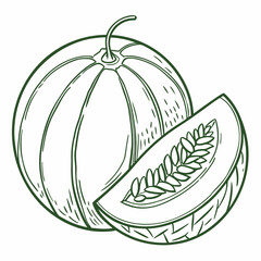 orient melon vector