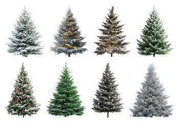 Obraz premium PNG Diverse festive Christmas tree collection, element set on transparent background