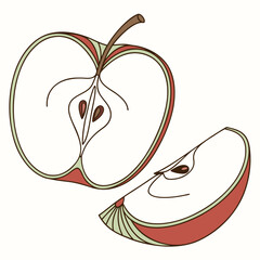 northern spy apple vector