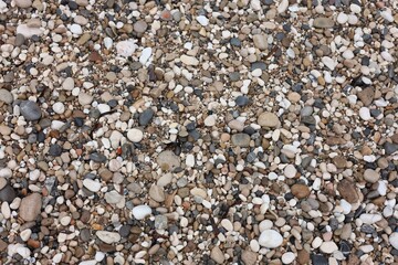 Many beautiful pebbles as background, top view