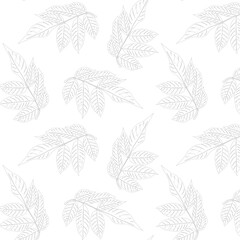 Fototapeta premium Seamless pattern line langsat (Lanzones) leaves.