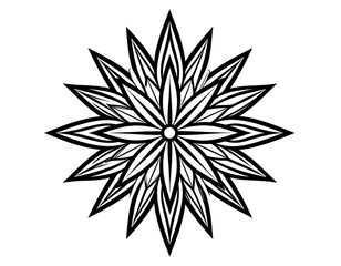 Obraz premium Ornate, symmetrical flower mandala design