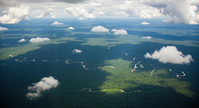 Aerial view of winding river through dense green rainforest canopy. Meandering waterway in natural jungle for environmental conservation and watershed protection campaigns