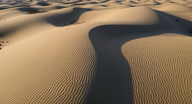 Sand dunes with flowing curves and wind-carved patterns in desert landscape. Natural erosion formations and arid environment geology. Environmental study and landscape content - Powered by Adobe