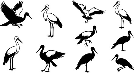 Obraz premium Silhouette stork collection: elegant bird designs for creative projects 