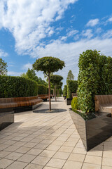 Public landscape park Krasnodar or Galitsky for relaxation and walking Seating area with curved wooden benches, neatly trimmed green hedges, small decorative trees, and tiled pathway under blue sky