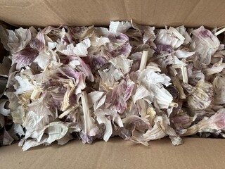 Pile of Garlic Skins Inside Cardboard Container