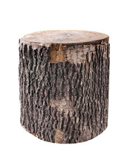 Wood log isolated on a white background