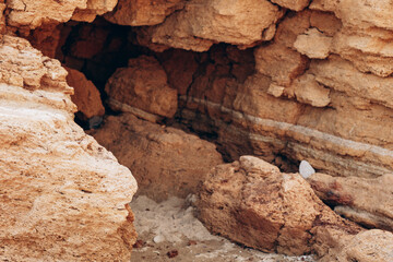 Brown cliff rock formations Textures and patterns backgrounds 