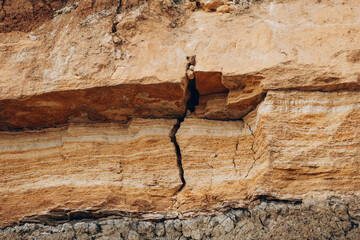 Brown cliff rock formations Textures and patterns backgrounds 