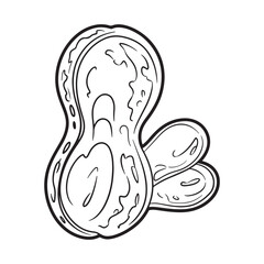 Naklejka premium Peanut in Shell Line Art Drawing for Food Illustration Icon or Simple Coloring Book Page