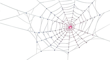 Obraz premium Detailed illustration of an intricate spider web structure.