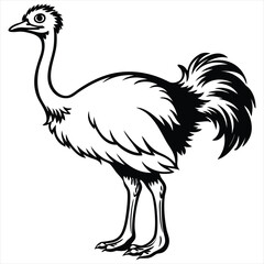 Ostrich Line Art Vector Illustration,Emu Bird Outline Drawing,Wild Ostrich Sketch in Black and White,Exotic Bird Vector Silhouette,Ostrich Ink Drawing Isolated on White Background,Ostrich vector, 