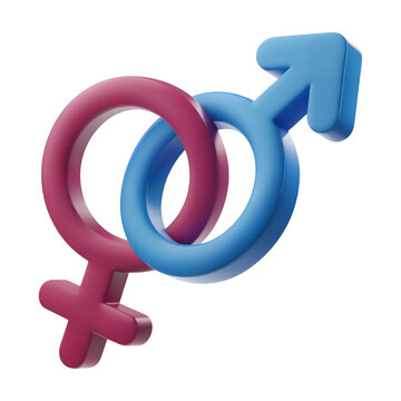 3d Symbolic gender representation with interlocking male and female signs ideal for inclusive designs equality campaigns and relationship isolated on png transparent bg
